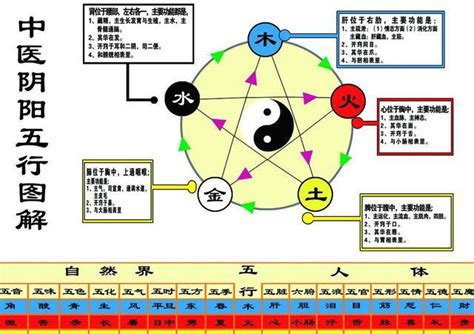 科技五行属什么|生物科技行业五行属性